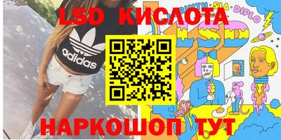 индика Можга