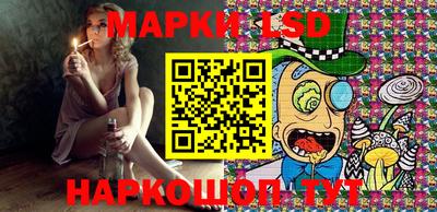индика Можга