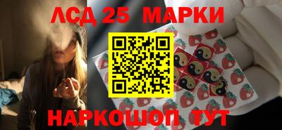 индика Можга