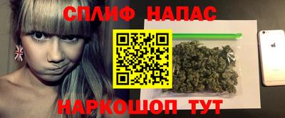 индика Можга