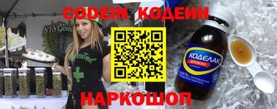 индика Можга