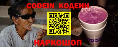 индика Можга