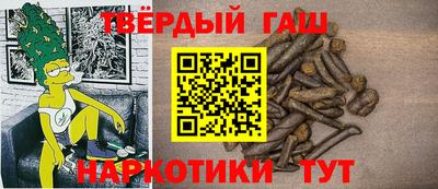 индика Можга