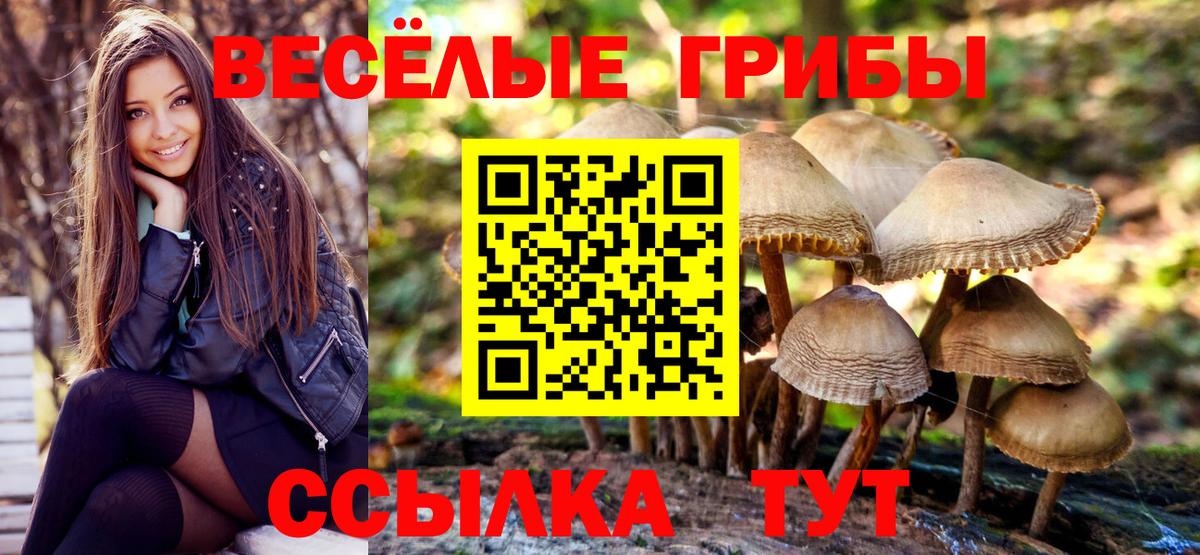 Галлюциногенные грибы Cubensis  Вход с VPN  Саранск  Галлюциногенные грибы GOLDEN TEACHER 