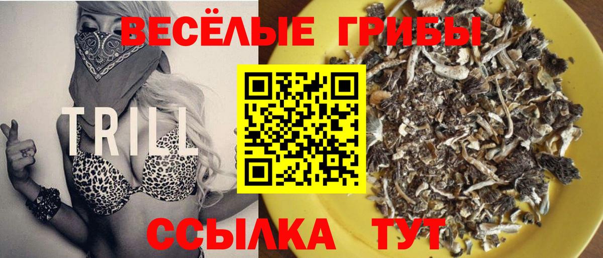 Псилоцибиновые грибы Magic Shrooms Саранск